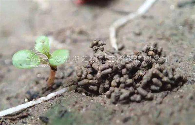 禽畜糞便一定要發(fā)酵后才是有機肥？