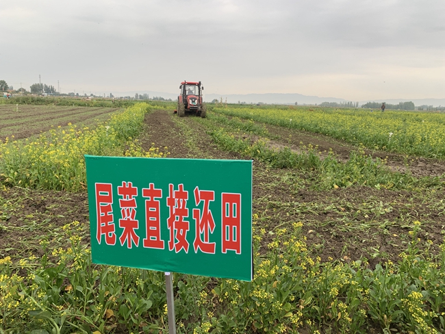 養(yǎng)殖場糞污環(huán)保處理的常用方法有哪些？